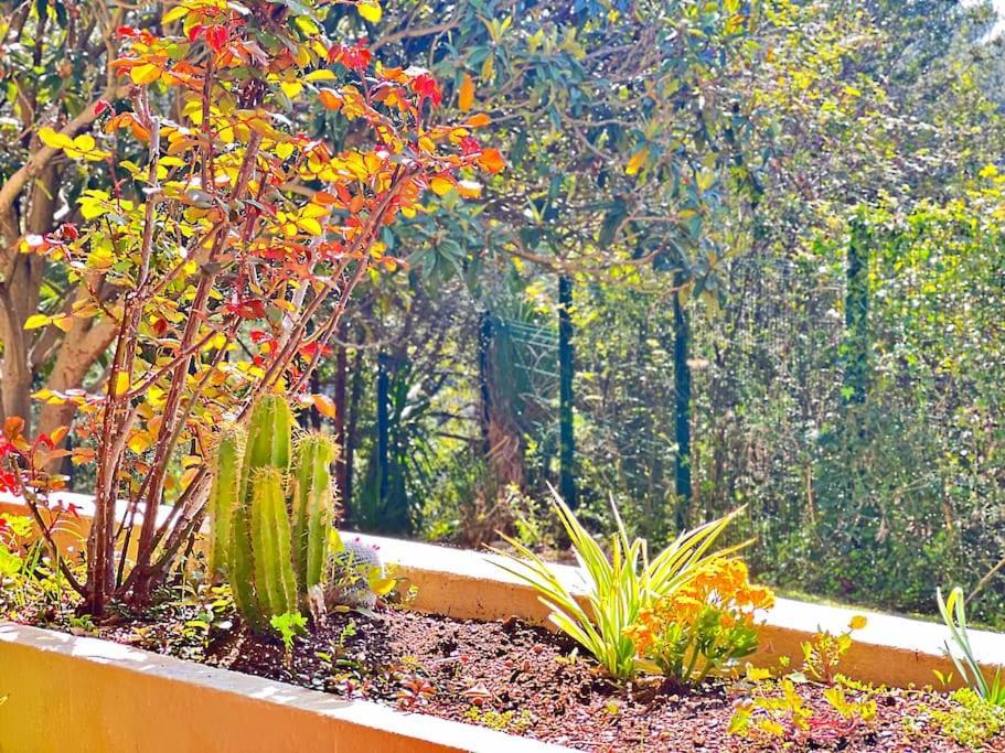 Le Jardin Bleu - Cosy&confort Appartement Nice
